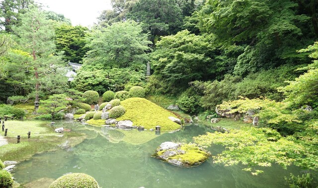 3庭園DSC06859青蓮院 (36).JPG