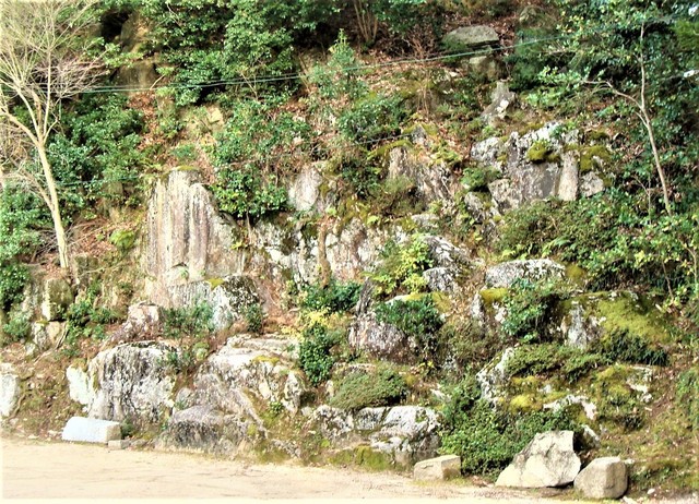 ３庭園模様の巨岩（２７－０５１１）円福寺 (8).JPG