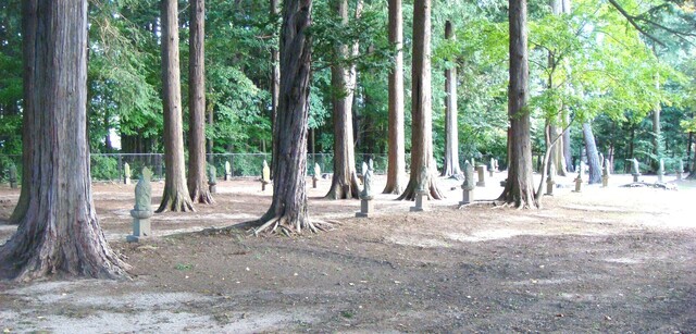 3新四国霊場(20-4552)松林寺 (10).JPG