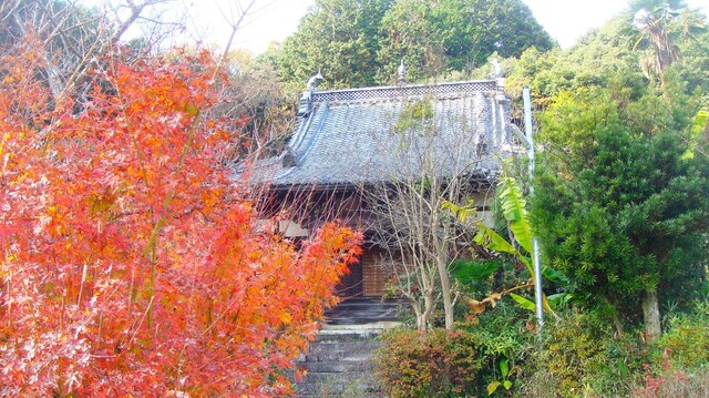 3本堂239慈恩寺 (2).JPG