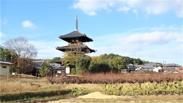3法起寺三重塔310.JPG