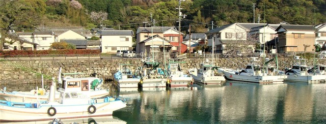 3石垣岸壁(39-1303)真行寺 (19).JPG