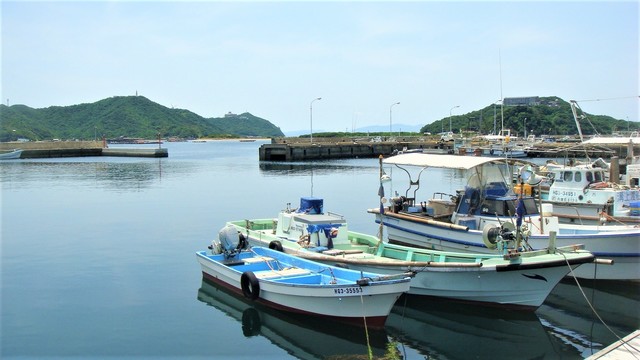 3福良港278福良港 (4).JPG