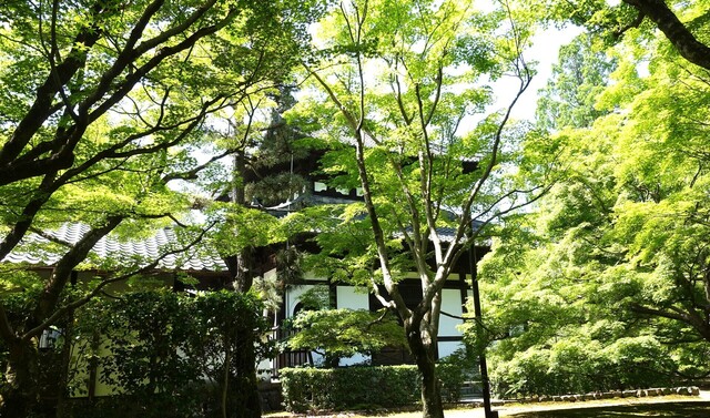 ３経蔵DSC05945東福寺 (31).JPG