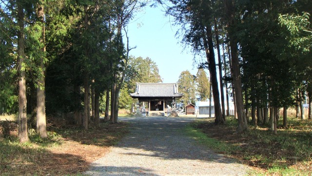 ３藤田神社（２８－４９０５）薬師寺跡 (20).JPG