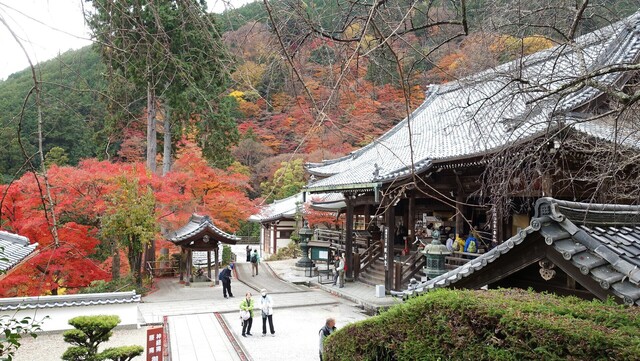3観音堂DSC04485.JPG