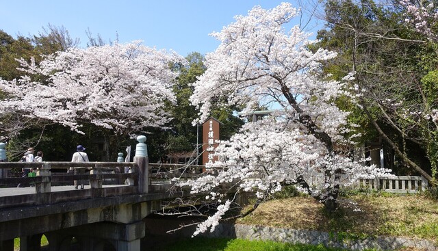 3護国神社DSC03929.JPG