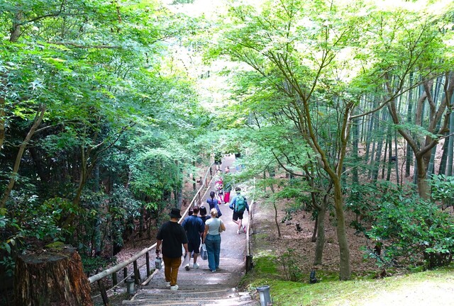 3高台寺DSC07104高台寺 (49).JPG