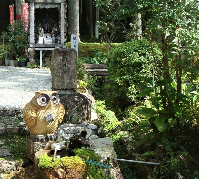 3(29-755)蔵王寺龍峯院 (9).JPG