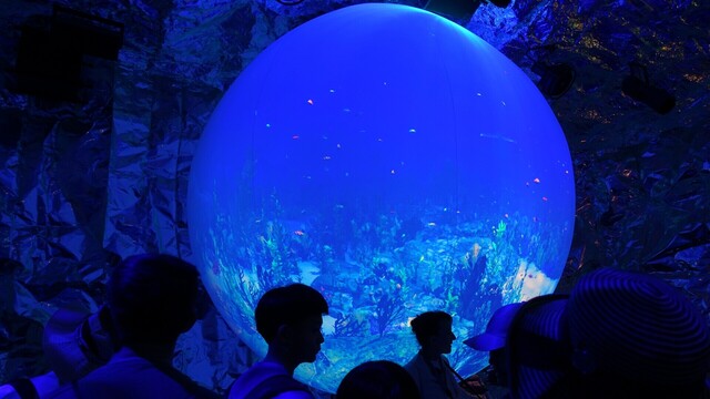 4クウェート館うちDSC04462.JPG