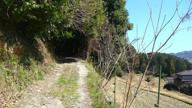 4光明寺跡へ(29-533-13)光明寺跡五輪石塔群 (1).JPG