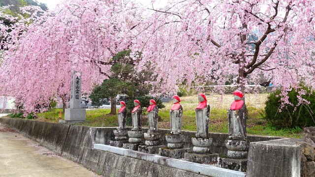 4六地蔵(19-2016)敬泉寺 (14).JPG