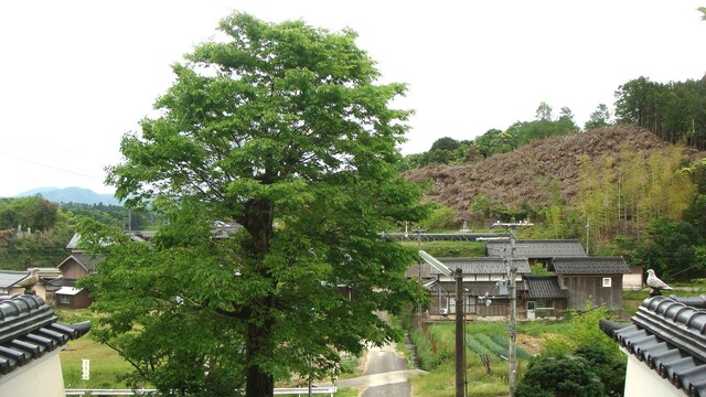4周辺DSC06465泰平寺 (15).JPG