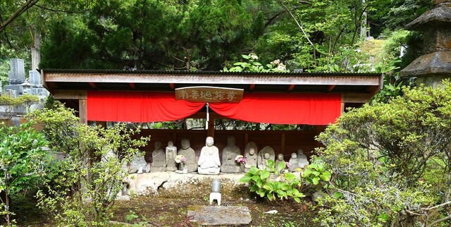 4地蔵石仏(17-2409)大蓮寺 (10).JPG