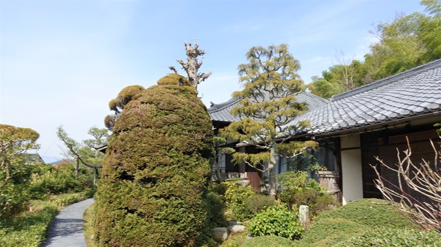 4境内(26-45015)明教寺 (10).JPG