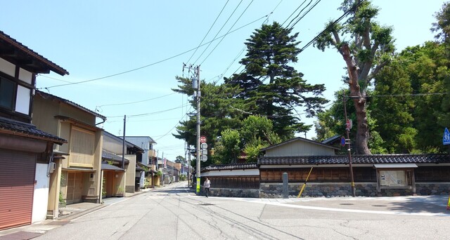 4寺町寺院群DSC08913国泰寺 (3).JPG