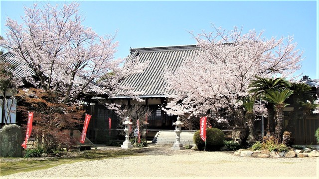 4左に薬師堂右に本堂(28-3023)法華寺 (11).JPG