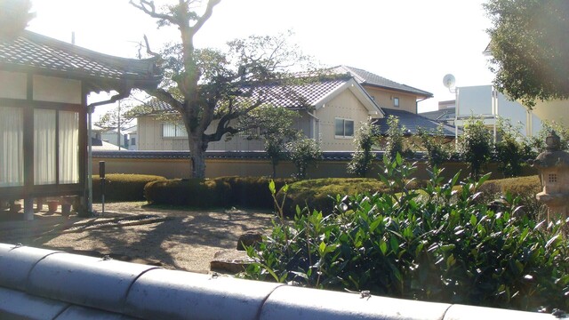 4庭園DSC03057不動院 (7).JPG