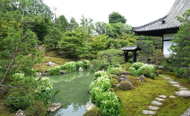4庭園DSC07246両足院 (31).JPG