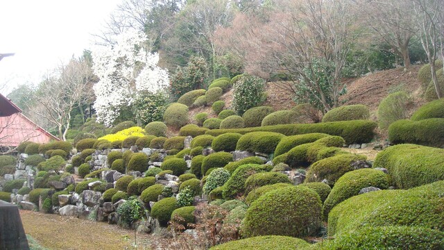 ４庭園（１９－２３１４）聖応寺 (16).JPG