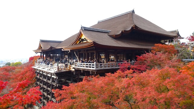 ４本堂２１年本堂（２６－３００００）清水寺 (70).JPG