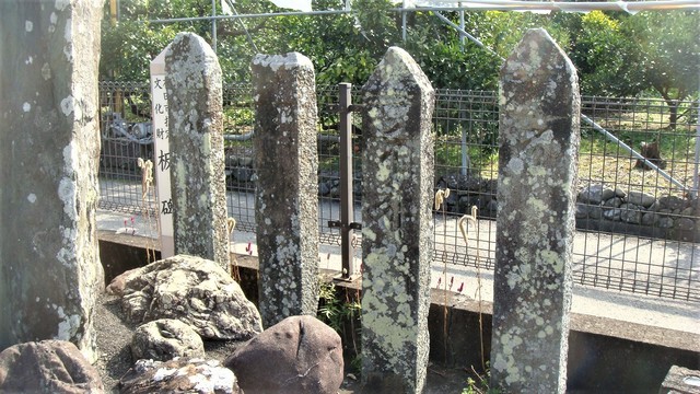 4板碑4基(30-2412)阿弥陀寺 (4).JPG