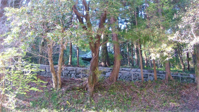 4森の中の恵日寺(39-1301)恵日寺 (8).JPG