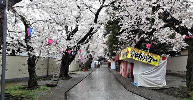 4池袋法明寺参道DSC05900.JPG