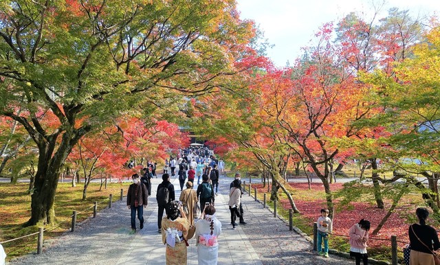 4法堂へ(26-1028)南禅寺 (5).JPG