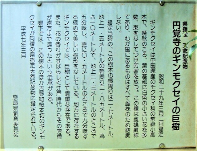 4説明板(29-858)円覚寺 (6).JPG