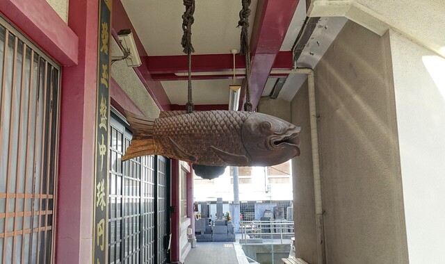 4魚板DSC01918鉄眼寺 (20).JPG