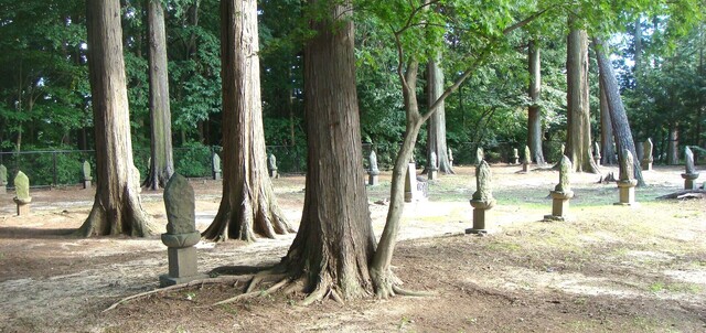 4(20-4552)松林寺 (12).JPG