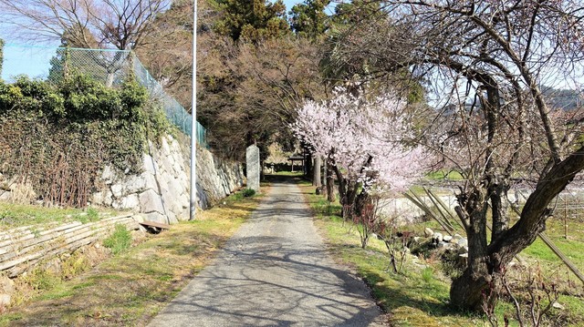 5参道(19-2307)広厳院 (12).JPG