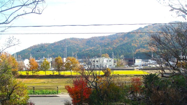 5周辺239慈恩寺 (4).JPG