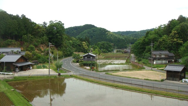 5周辺DSC06436妙久寺 (12).JPG