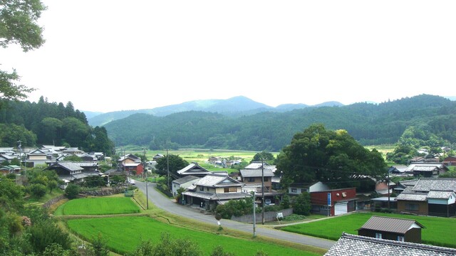 5周辺(24-1259)勝福寺 (5).JPG