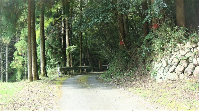 5大淀古道 安産の滝へ(29-755)蔵王寺龍峯院 (10).JPG