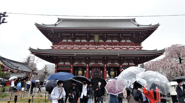 5宝蔵門DSC05801.JPG