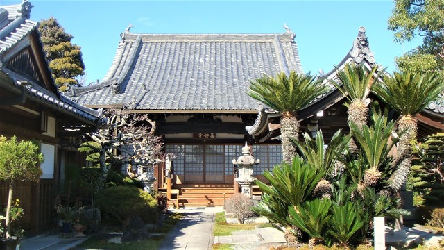 5本堂(29-589)善修寺 (8).JPG