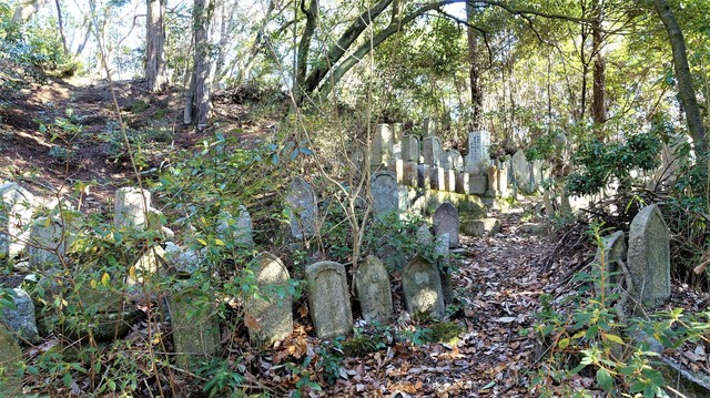 5石仏石塔群(29-587)阿弥陀寺 (19).JPG