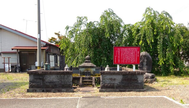 5竜神井戸DSC09391善導寺 (8).JPG