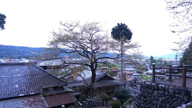 ５観音堂からDSC00374大淵寺 (15).JPG