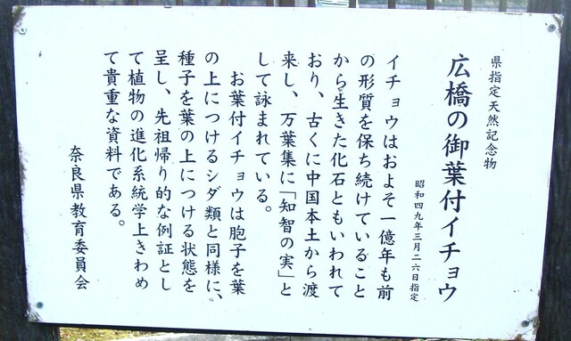 5説明板(29-768)安楽寺観音堂 (7).JPG