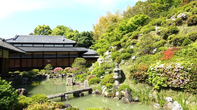 5講堂庭園DSC05772智積院 (31).JPG