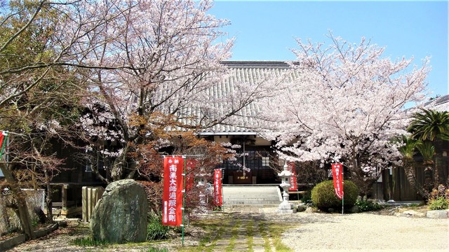 5(28-3023)法華寺 (14).JPG