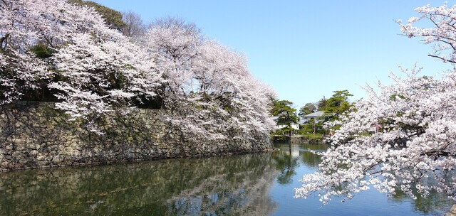 6中堀DSC03975.JPG