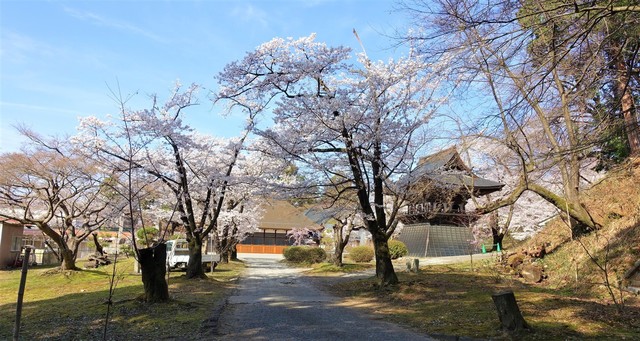 6境内(19-2307)広厳院 (14).JPG