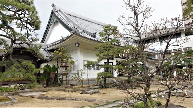 6本堂DSC04135海清寺 (26).JPG