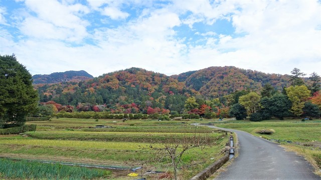 ６比叡山系左に比叡山（２６－１０７４）禅華院  (6).JPG