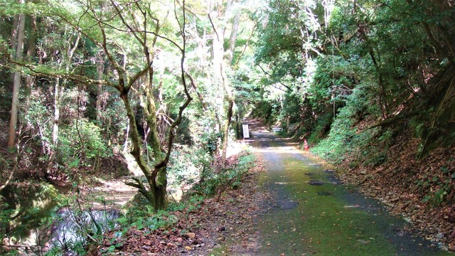 6瀧へ(29-755)蔵王寺龍峯院 (12).JPG